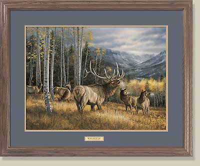 Meadow Music-Elk By RosemaryMillette (image for) Meadow Music-Elk By RosemaryMillette